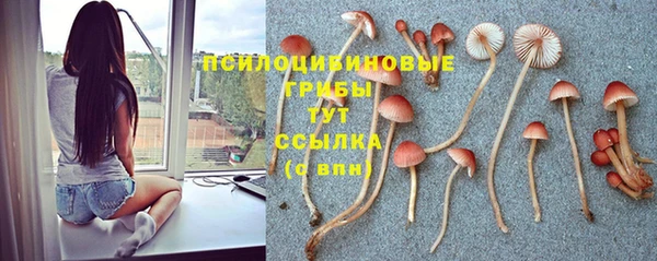 меф Армянск