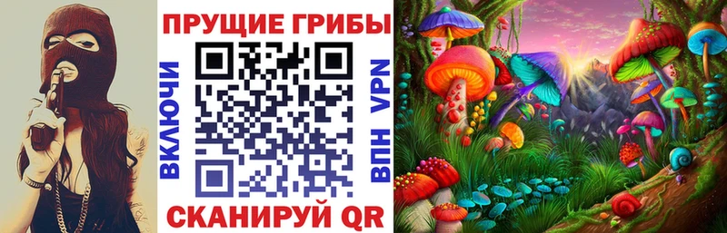 Псилоцибиновые грибы GOLDEN TEACHER  Невинномысск 