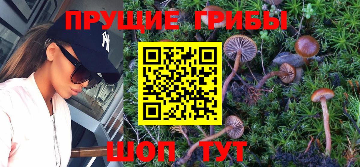 Невинномысск  Галлюциногенные грибы MAGIC MUSHROOMS  Галлюциногенные грибы Cubensis  Вход с VPN 