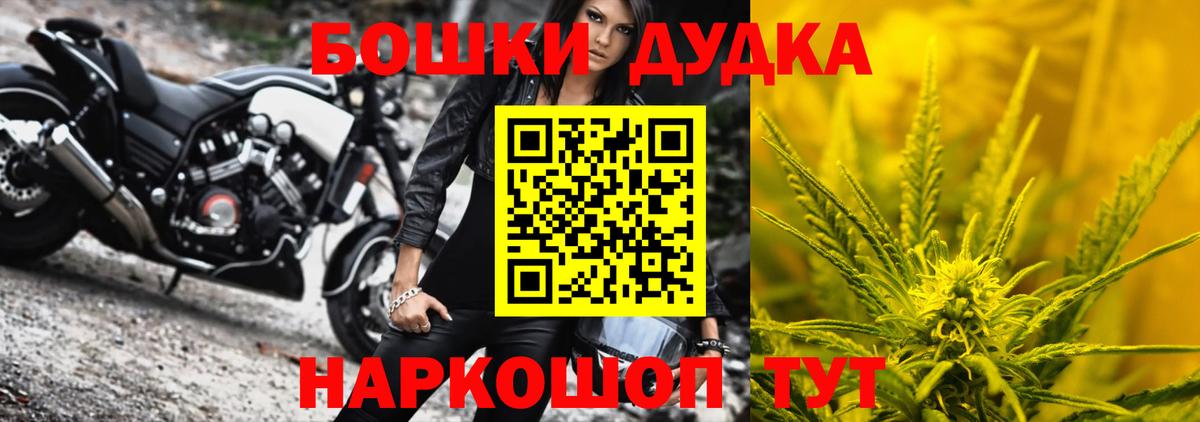 Бошки Шишки семена Невинномысск